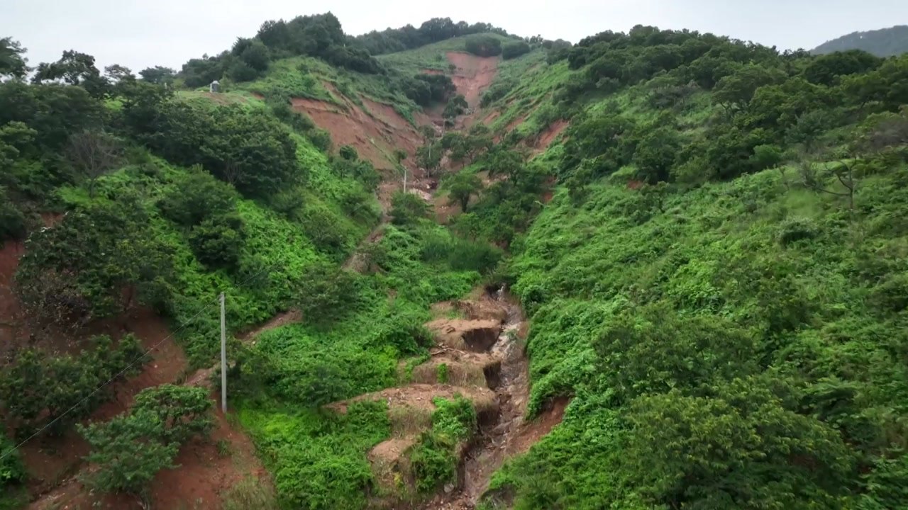 부산·울산·영남에 산사태 위기경보 '주의' 발령 / YTN