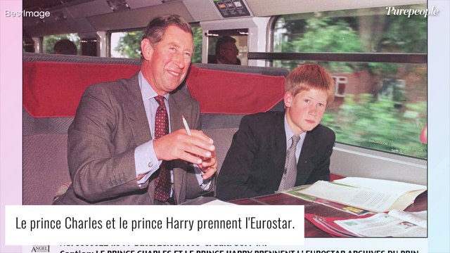 Le prince Harry, pas le fils du roi Charles III ? Une ressemblance frappante sème le doute...