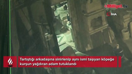 Tartıştığı arkadaşına sinirlenip aynı ismi taşıyan köpeğe kurşun yağdıran adam tutuklandı