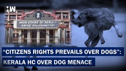 South Connect : Need Scientific Solution Kerala Chief Minister On Stray Dog Menace