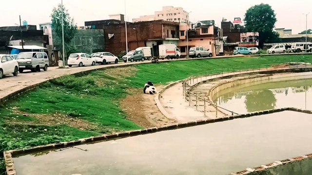 Piyush Ne Bohot Mara Aaj #vlog #sourav Joshi vlog