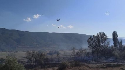 Son dakika haber | KASTAMONU - Tosya'da çıkan anız yangını söndürülmeye çalışılıyor