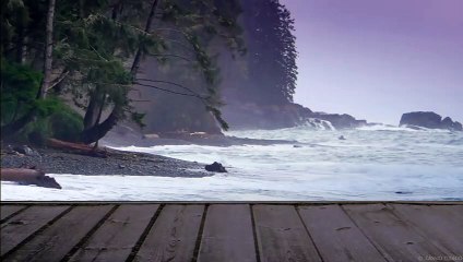 Ocean Waves Rain Sounds and Relaxing Music - Deep Sleep Relaxation