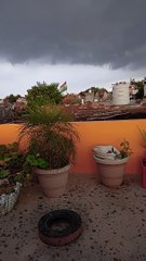 Nature beauty whatsapp status