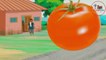 New Hindi / Urdu Animation Cartoon Stories | Cartoon Kids Valley # New Stories |