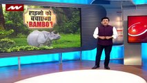 World Rhino Day: पहले की तुलना में बढ़ी राइनो की संख्या