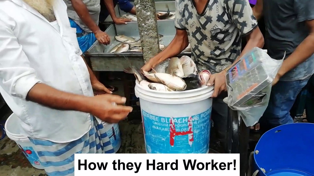 Earn Money By Sale Fish || Happy Can Growth For Fish