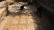 Filistinli çiftçi, Gazze'deki tarlasında Bizans dönemine ait mozaik keşfetti (1)