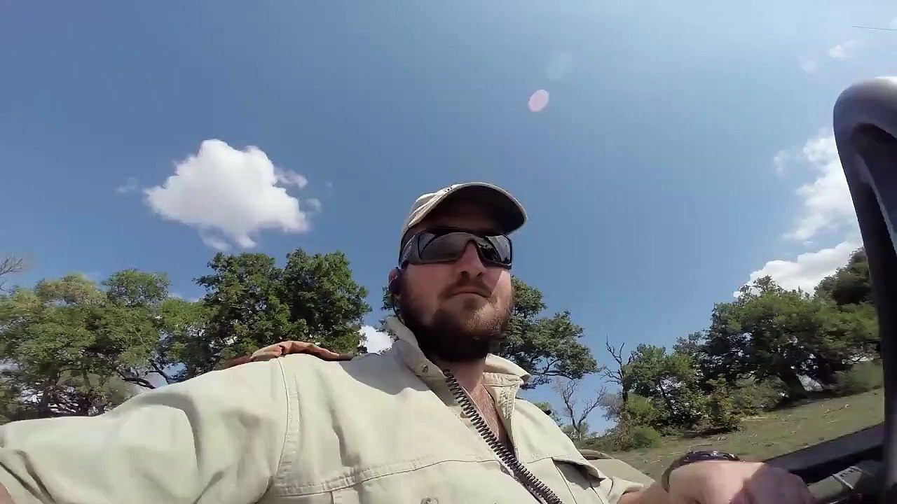 How Different Animals React to GoPros