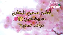 Sahih Bukhari Hadees No.10 _ Hadees Nabvi in Urdu _ Bukhari Hadees _ Bukhari Shareef in Urdu