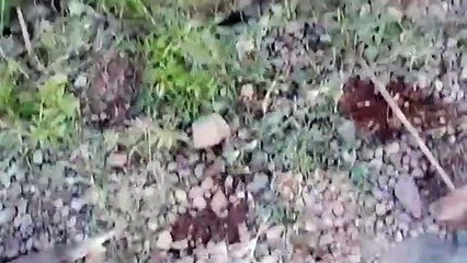 Armyman died : झील में डूबा सार्जेन्ट, बाहर निकाला, लेकिन जान नहीं बची