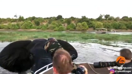 Elephant Charges & Hits Boat