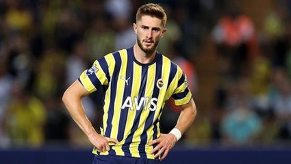 A Milli Takım'da sürpriz değişiklik! İsmail Yüksek ile Tolga Ciğerci kadroya dahil edildi