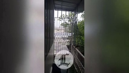 Fuertes lluvias y vientos se registran esta tarde en Mayagüez por Fiona