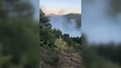 Son dakika haberi... Bayat'ta çıkan orman yangını kontrol altına alındı