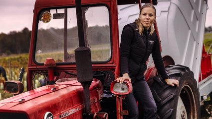 Nordic winery redefines ‘wine country’