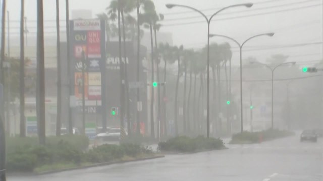 [날씨] 태풍 '난마돌' 영향...영남 해안 초속 30m 돌풍. 동해안 호우 / YTN