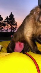 When the sun goes down