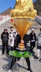 Craftsman makes Golden Wires Money Tree