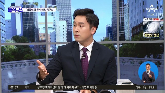 “수사기밀 부당 거래”…‘뇌물 혐의’ 은수미 법정 구속