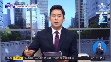 김건희가 영빈관 신축 지시?…권성동 “집단 망상”