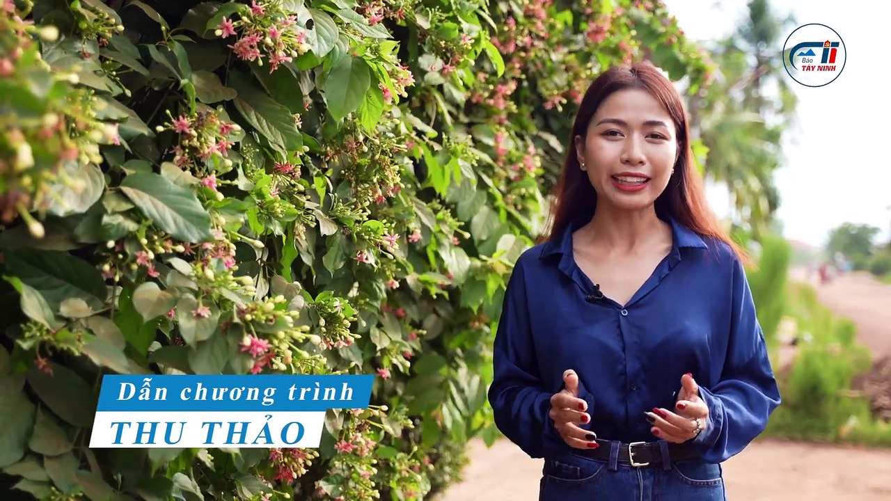 Mắm chua- món ngon gợi nhớ