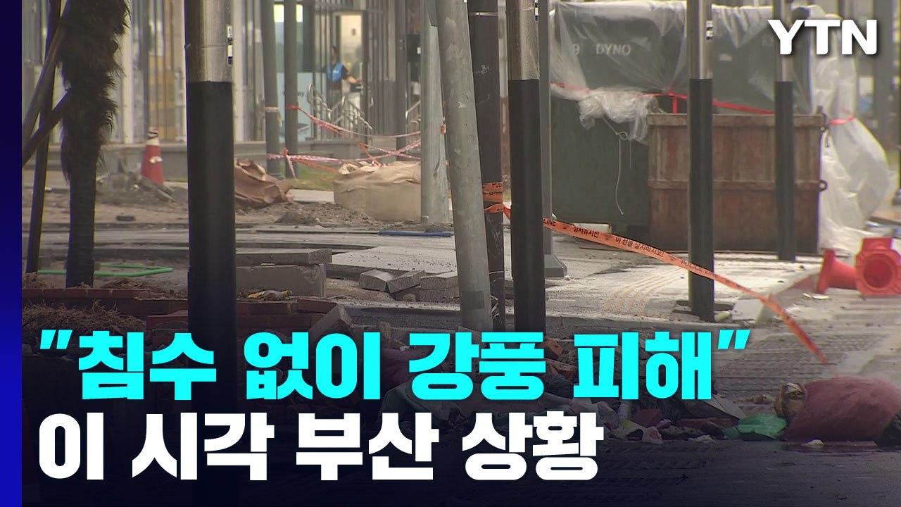 태풍 '난마돌' 멀어지는 부산...침수 없고 강풍 피해 / YTN