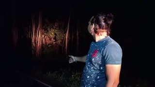 Chandkheda Haunted Tree - First Time On YouTube - Janshi