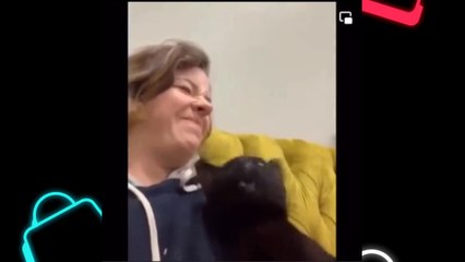 Try not to LAUGH animals - Video Of The FUNNIEST Cats And Dogs On Earth 2022