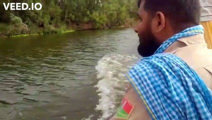Jamunia island near kota, Jamun, crocodile, birds, sanctuary, chambal k najare, nature, diversity