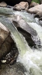 Fish Ancient Trap (مچھلی پکڑنے کا پرانا تریقہ)