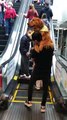 Golden Retriever Gets Carried Up Escalator