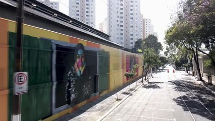 SAO PAULO - Brezilyalı sanatçıdan göç sorununa duvar resimli gönderme