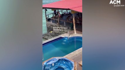 Sea lion steals prime sunbathing spot from tourist | September 19, 2022 | ACM