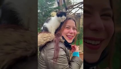 The funniest animal you've ever seen | Funny Cat Meme. 2022