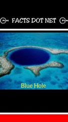 Did You Know? Blue Hole || FACTS || TRIVIA