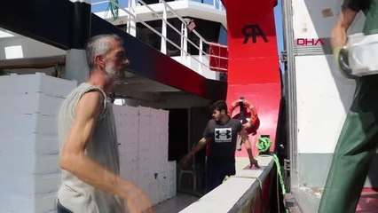 ZONGULDAK AÇIKLARINDA PALAMUT BOLLUĞU