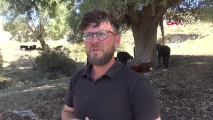 Son dakika haberleri... KAYIP DANASININ BULUNMASI İÇİN JANDARMAYA BAŞVURDU