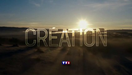 Touchées Bande-annonce VF