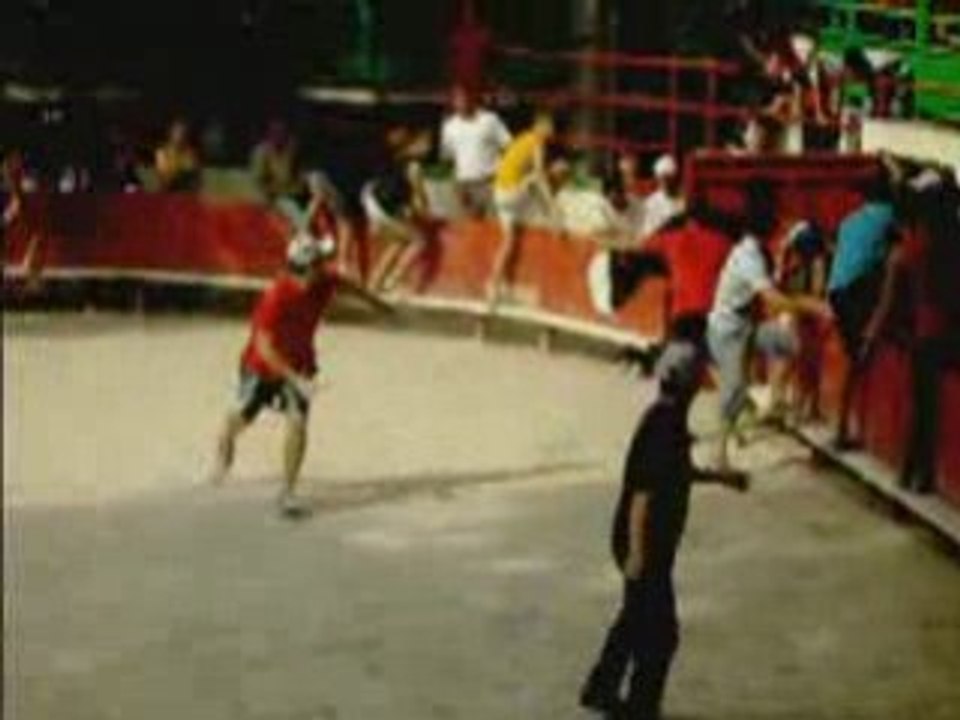 Fête du Printemps 2007 ARAMON - Lundi 4 juin