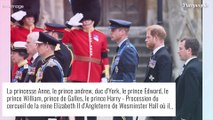 Funérailles d'Elizabeth II : William et Harry : les frères 