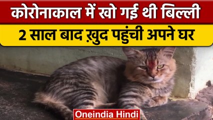 Kerala: दो साल बाद अपने घर ख़ुद लौटी पालतू बिल्ली, कोरोनाकाल से थी लापता | वनइंडिया हिंदी |*News