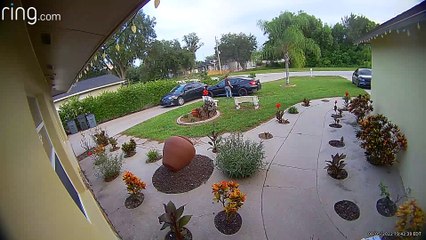 Forgetting to Put the Car Into Park