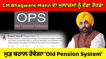 CM Bhagwant Maan ਨੇ ਮੁਲਾਜ਼ਮਾਂ ਨੂੰ ਦਿੱਤਾ ਇੱਕ ਵੱਡਾ ਤੋਹਫ਼ਾ | OneIndia Punjabi