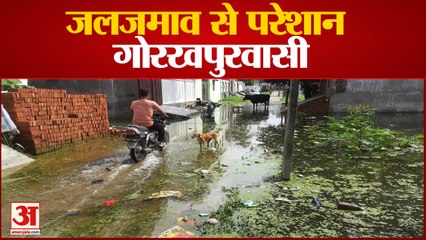 UP News: गोरखपुर शहर में कॉलोनी की सड़कों पर एक फीट पानी | Gorakhpur News