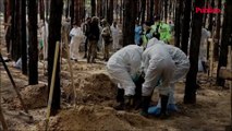 440 tumbas en Izium: continúan las exhumaciones de los cuerpos de la fosa común
