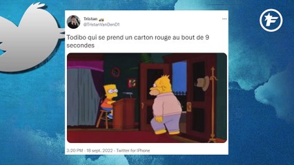 L'arbitrage français se fait dézinguer par twitter