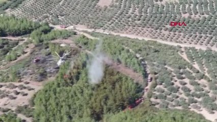 Son dakika gündem: MANİSA'DA ORMAN YANGINI