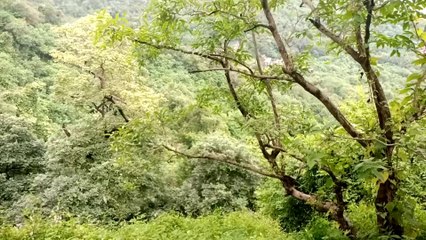 My first vlog, Mumbai elefenta video