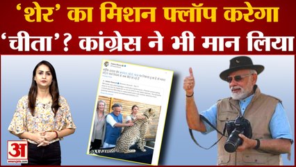 'हमारे शेर से डर के चीते ला रहे हैं' प्रोजेक्ट चीता पर कांग्रेस ने पीएम मोदी को दिखाई चिट्ठी